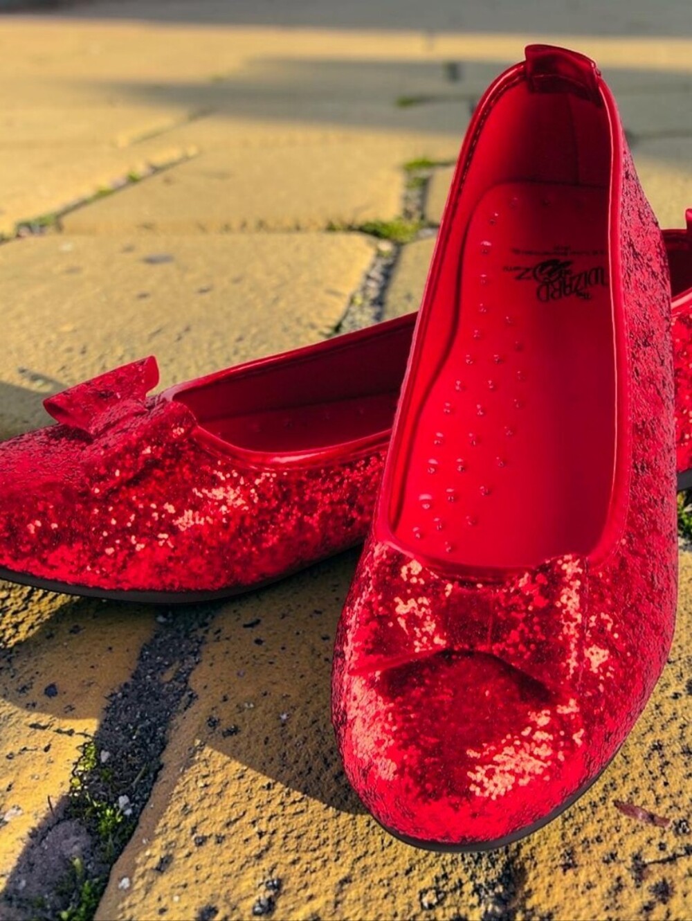 Adult Rubies Wizard Of Oz, Deluxe Adult Dorothy Sequin Shoes, 7/8